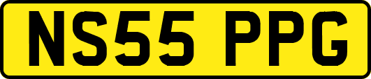 NS55PPG