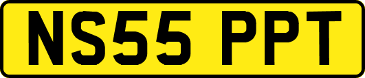 NS55PPT