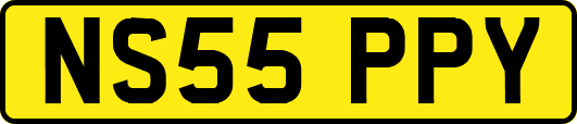 NS55PPY