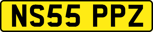 NS55PPZ