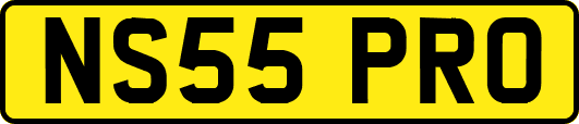 NS55PRO