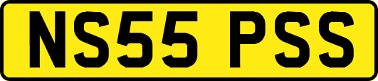 NS55PSS