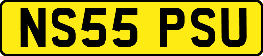 NS55PSU