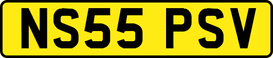 NS55PSV