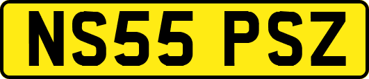 NS55PSZ