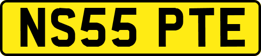 NS55PTE