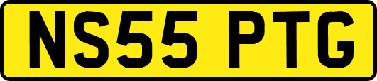 NS55PTG