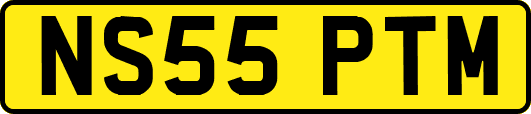 NS55PTM