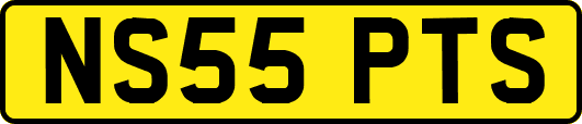 NS55PTS