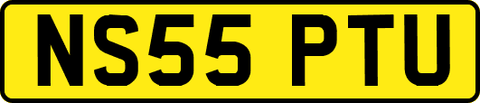 NS55PTU