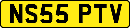 NS55PTV