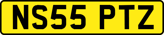 NS55PTZ