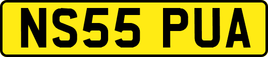 NS55PUA