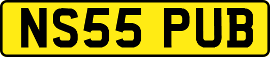 NS55PUB