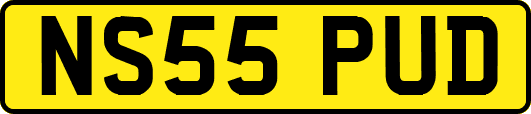 NS55PUD