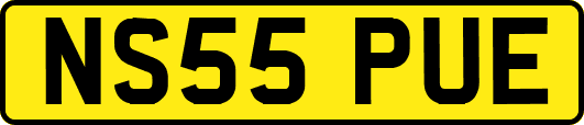 NS55PUE