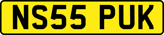 NS55PUK