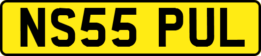 NS55PUL