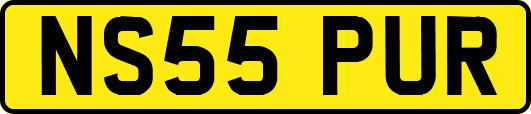 NS55PUR