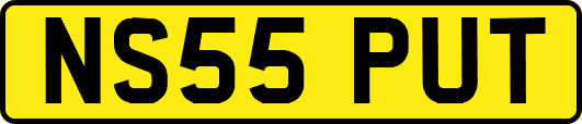 NS55PUT