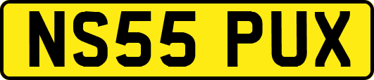 NS55PUX