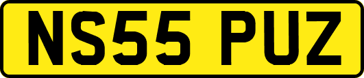 NS55PUZ