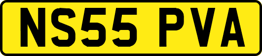 NS55PVA