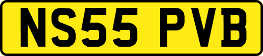 NS55PVB