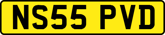NS55PVD
