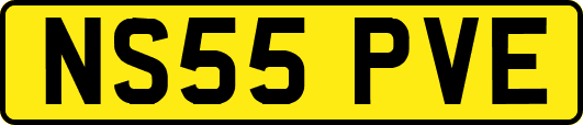 NS55PVE