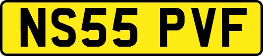 NS55PVF