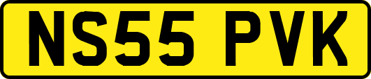 NS55PVK
