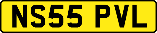 NS55PVL