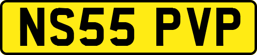 NS55PVP