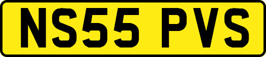 NS55PVS