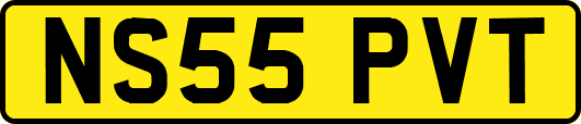 NS55PVT