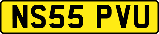 NS55PVU