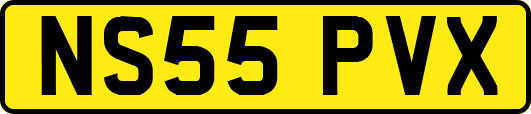 NS55PVX