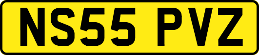NS55PVZ