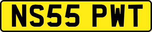 NS55PWT