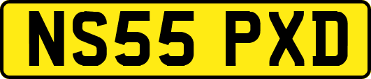 NS55PXD