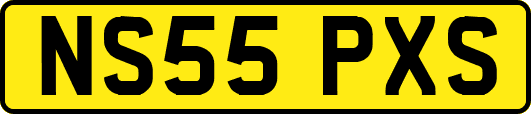 NS55PXS