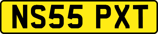 NS55PXT