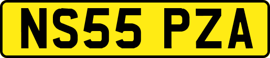 NS55PZA