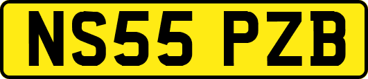 NS55PZB