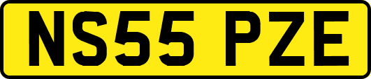 NS55PZE