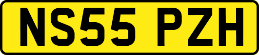 NS55PZH