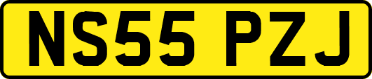 NS55PZJ