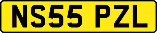 NS55PZL