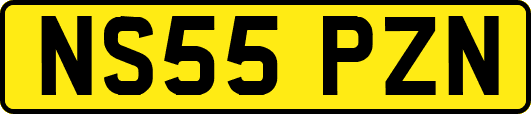 NS55PZN